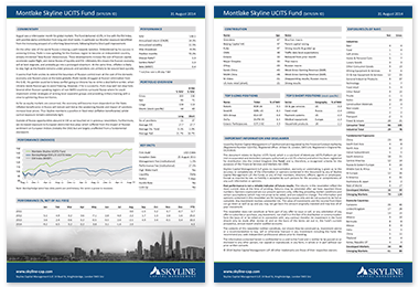 Example of a fund factsheet